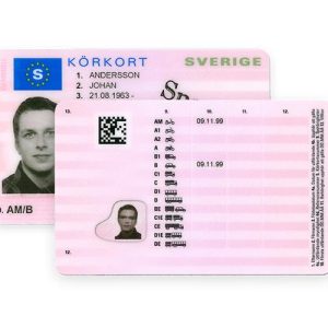 Swedish Driver License